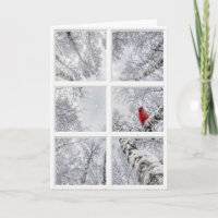 Red Cardinal In a Winter Window