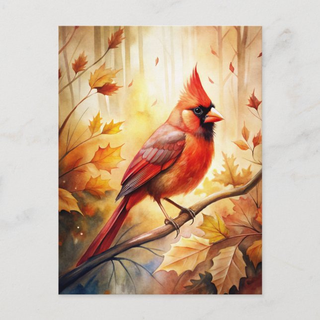 Red Cardinal in Autumn Fall Postcard (Front)