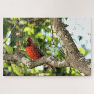Red Cardinal in Green Tree Jigsaw Puzzle