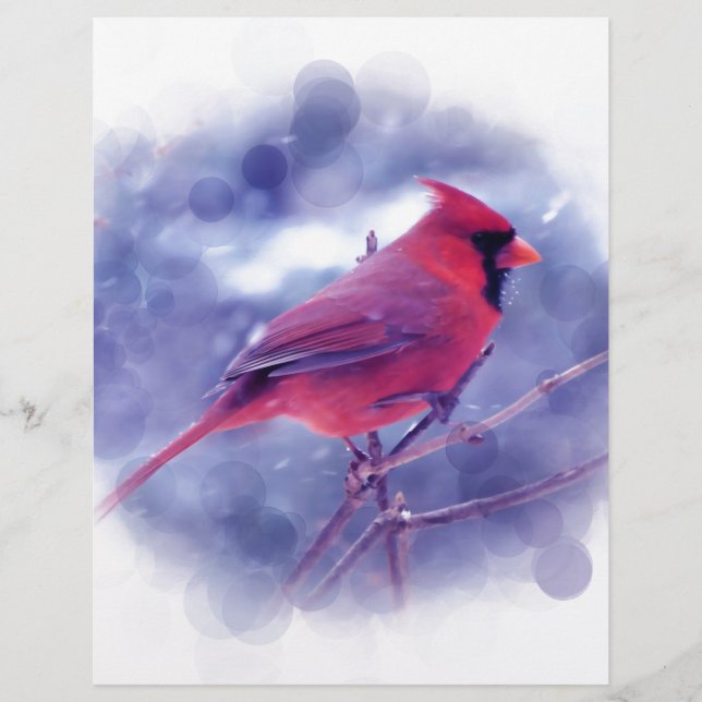 Red Cardinal in the Blizzard (Front)