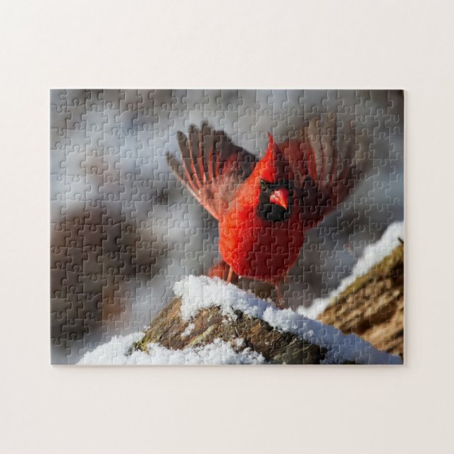 Red Cardinal in the Snow Jigsaw Puzzle (Horizontal)