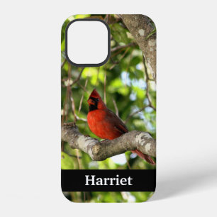 Red Cardinal in Tree Personalised iPhone 12 Case