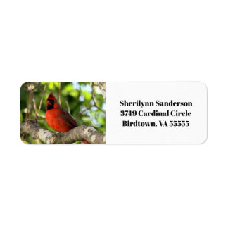 Red Cardinal in Tree Return Address Label