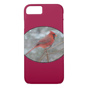 Red cardinal in Winter iPhone 8/7 Case
