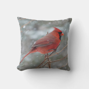 Red cardinal in Winter Cushion