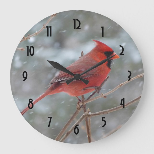 Red cardinal in Winter Large Clock (Front)