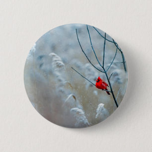 Red Cardinal in Winter Nature Photo Christmas 6 Cm Round Badge