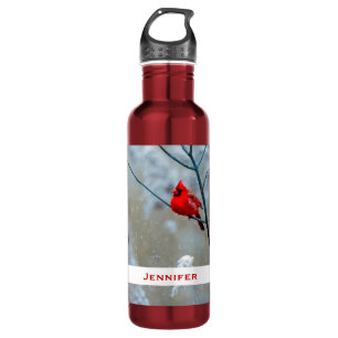 Red Cardinal in Winter Nature Photo Christmas 710 Ml Water Bottle