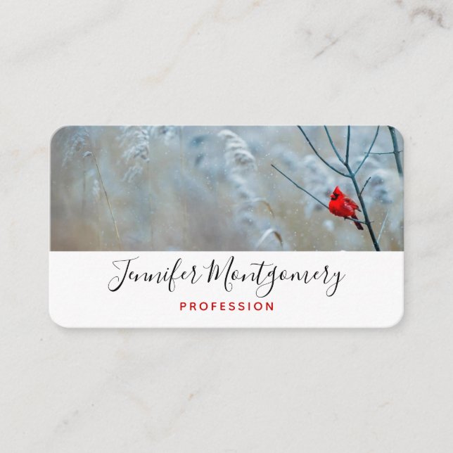 Red Cardinal in Winter Nature Photo Christmas Business Card (Front)