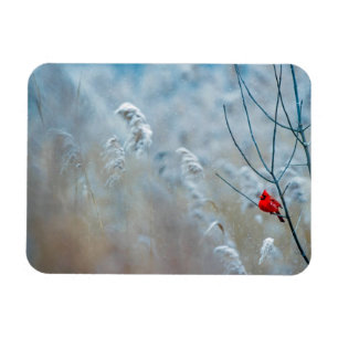 Red Cardinal in Winter Nature Photo Christmas Magnet