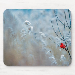 Red Cardinal in Winter Nature Photo Christmas Mouse Pad