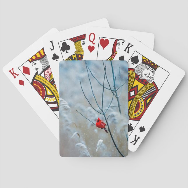 Red Cardinal in Winter Nature Photo Christmas Playing Cards (Back)