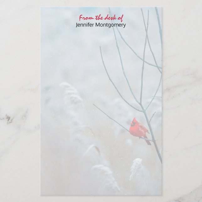 Red Cardinal in Winter Nature Photo Christmas Stationery (Front)