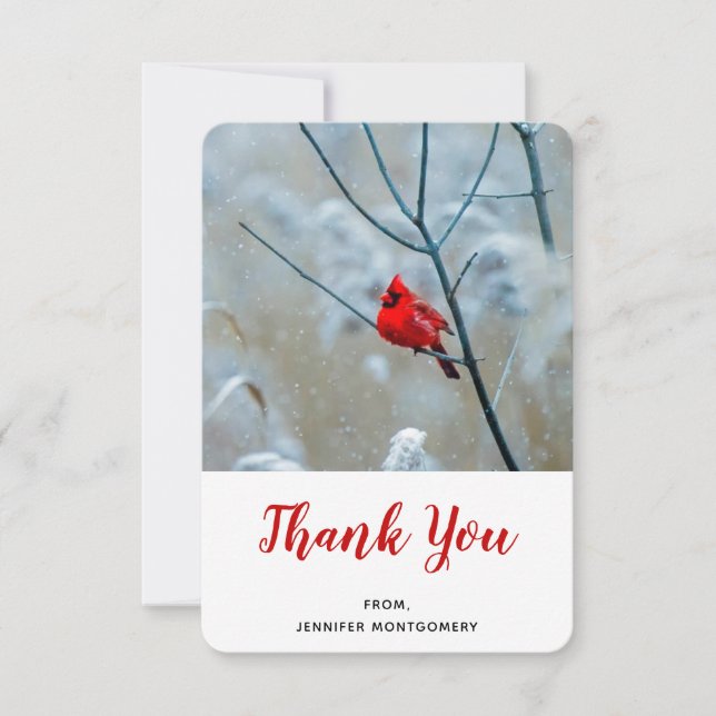Red Cardinal in Winter Nature Photo Christmas Thank You Card (Front)