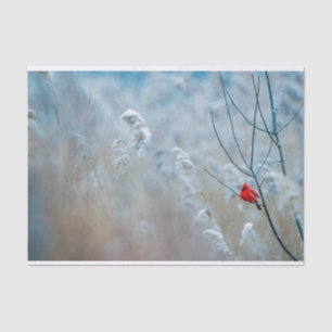 Red Cardinal in Winter Nature Photo Christmas Tissue Paper