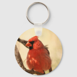 Red Cardinal  Keychain