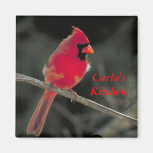 Red Cardinal Magnet