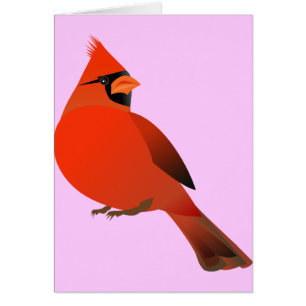 Red Cardinal Male Bird