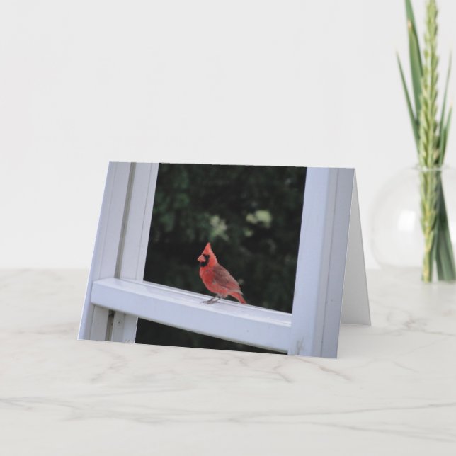 Red Cardinal, Missing You Card (Front)