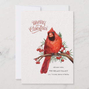 Red Cardinal on Berry Branch Holiday Card
