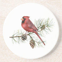 Red Cardinal on Branch Pine Cones