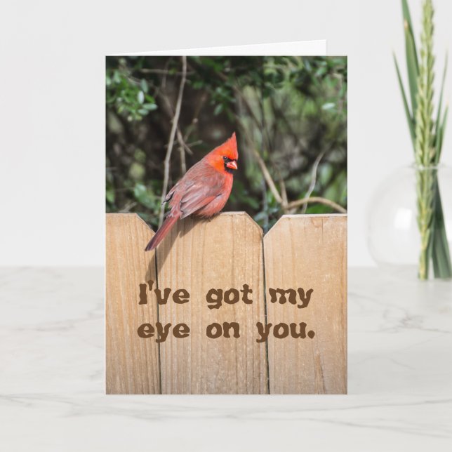 Red Cardinal on Fence Got My Eye on You Card (Front)