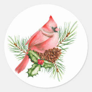 Red Cardinal on Pines Classic Round Sticker