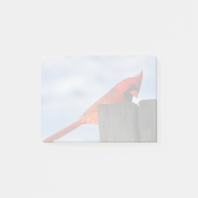 Red Cardinal on Wooden Stump Post-it Notes (Front)