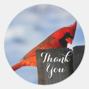 Red Cardinal on Wooden Stump Thank You Classic Round Sticker