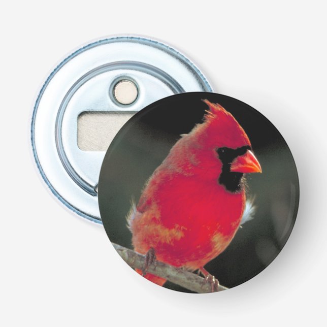 Red Cardinal Perched on a Tree Branch Bottle Opener (Front)