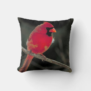 Red Cardinal Perched on a Tree Branch Cushion