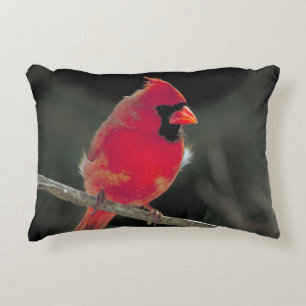Red Cardinal Perched on a Tree Branch Decorative Cushion