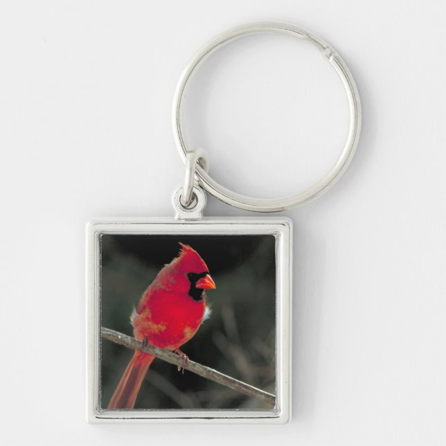 Red Cardinal Perched on a Tree Branch Key Ring (Front)