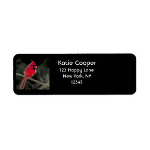 Red Cardinal Perched on a Tree Branch Return Address Label