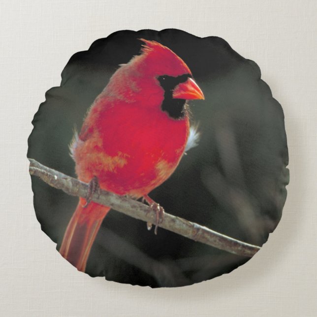 Red Cardinal Perched on a Tree Branch Round Cushion (Front)