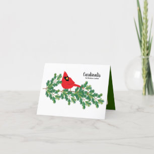 Red Cardinal Perched on Pine Branches Notecard