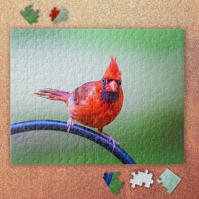 Red Cardinal Photo with Funny Expression Jigsaw Puzzle (It's a Red Cardinal Puzzle!)