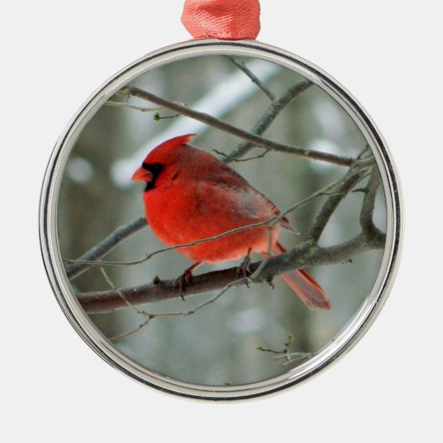 Red Cardinal Premium Ornament (Front)