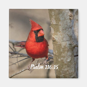 Red Cardinal Psalm 116:15 Magnet