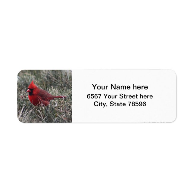 Red Cardinal Return Address Labels (Front)