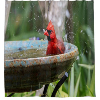 red cardinal shower curtain