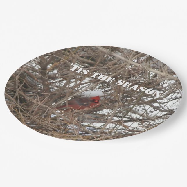 Red Cardinal Snow Branches Paper Plate (Angled)
