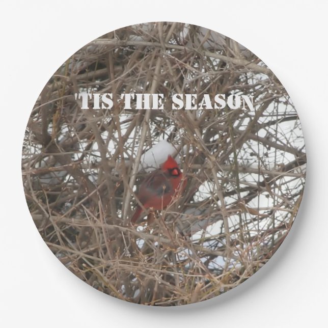 Red Cardinal Snow Branches Paper Plate (Front)
