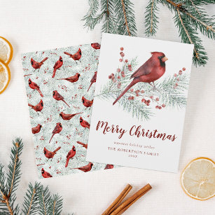 Red Cardinal Snowy Pine Branch Christmas Holiday Card