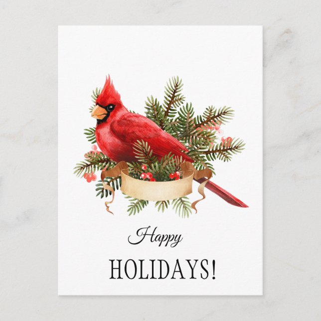 Red Cardinal Watercolor Illustration Postcard (Front)