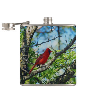 Red Cardinal  Wild Bird Photograph Hip Flask