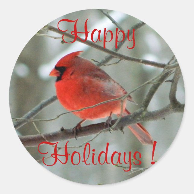 Red Cardinal (Winter) Sticker (Front)