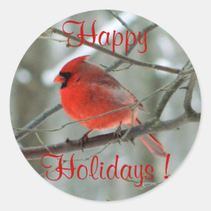 Red Cardinal (Winter) Sticker