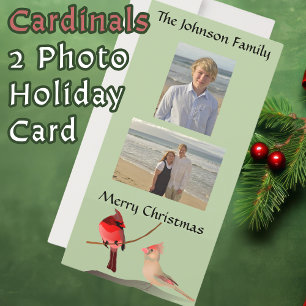 Red Cardinals Christmas Birds Light Green Holiday Card