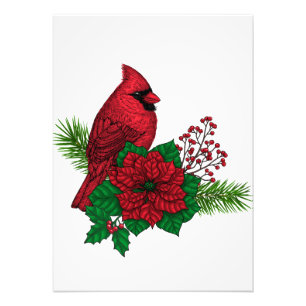 Red Cardinals on Christmas decoration Photo Print